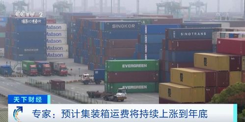 集裝箱運費持續上漲到年底 菜鳥開通東南亞跨境服務,輝瑞忙著發 疫情財